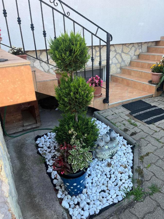 Rege apartman 2 Alsoors Bagian luar foto